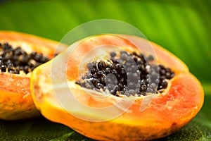 Papaya fruit on tropical palm tree leaf background macro shot. Halved fresh organic Papayas