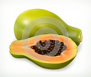 Papaya fruit. Vector icon