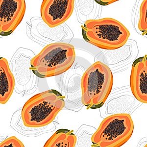 Papaya fruits seamless pattern on white background with sketch drawing, Fresh organic food, Tropical fruit vector