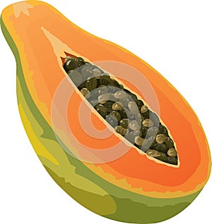 Papaya icon