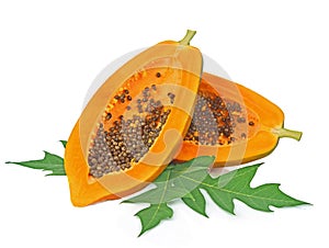 Papaya isolated on white backgroound.