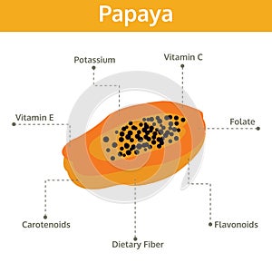 Papaya nutrient of facts and health benefits, info graphic fruit
