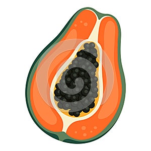 Papaya simple illustration. Ripe juicy fruit. Bright cartoon flat clipart