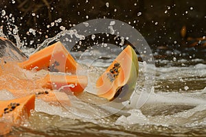 papaya slices diving into a splashy river