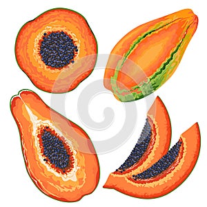 Papaya Slices and Entire Vector Illustration isolated on white