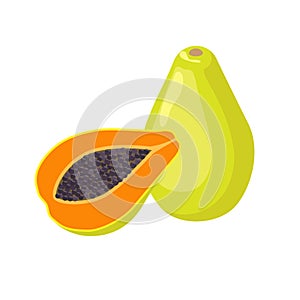 Papaya vector illustration isolated on white background. Juicy tropical exotic fruit - papaw. photo