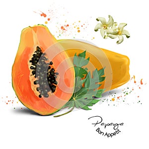 Papaya watercolor painting