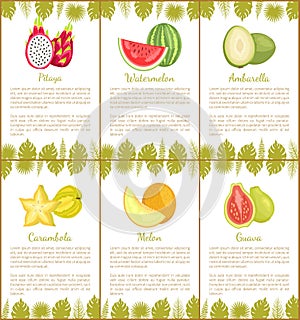 Papaya and Watermelon, Ambarella Carambola Poster