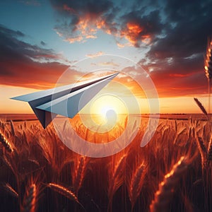 Paper airplane flying over a field on the background of a sunny sunset.