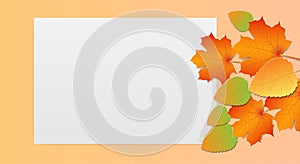 Paper art of Autumn maple leaf with blank note paper with space for text. Vector illustration