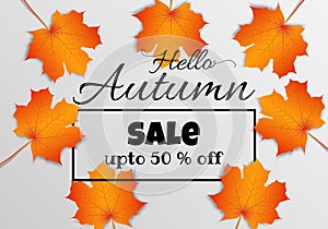 Paper art of Autumn maple leaf sale background. Vector illustration