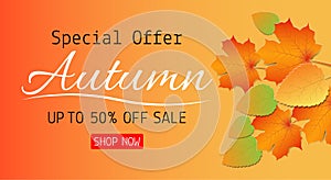 Paper art of Autumn sale background with maple leaf for shopping promotion. Vector illustration