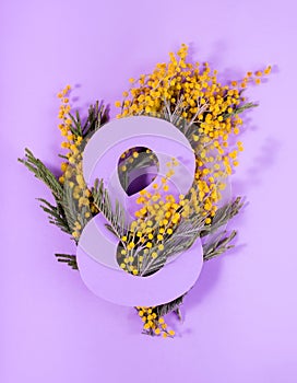 Paper art to 8 March, Happy women's day celebrating. Number eight cut in the paper against fresh mimosa Flowers on a