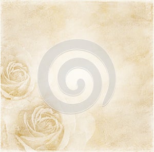 Paper background with roses