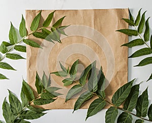 Paper bag and green leaves isolated on white background. Ready-made eco shopping concept. Top view. Flat lay