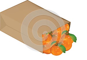 Paper bag of organic bread containing fruit photo