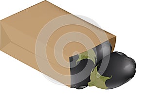 Paper bag of organic bread containing vegetables photo