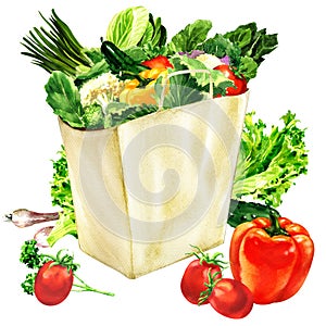 Paper bag with organic healthy food, grocery shopping bag and fresh vegetables, vegetarian concept, isolated, hand drawn