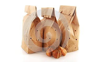 Paper bags with flower bulbs