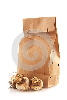 Paper bags with flower bulbs