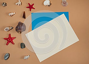 Paper blank, seashells, stars and pebbles on beige and light blue background.