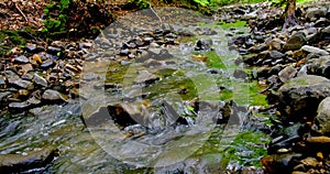 Paper boat floating in the fast flowing forest stream.