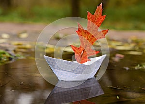 The paper boat floats on an autumn puddle, being reflected in water. Instead of a sail, a red oak leaf.