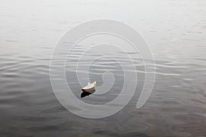 Paper boat on lake