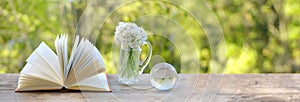 paper book, glass ball globe, bouquet of wild garlic flowers on old wooden table in garden, blurred natural landscape in