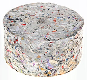 Paper Briquette Cutout