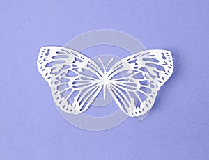 The Paper butterfly carve on a pulple background photo