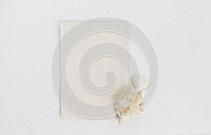 Paper card on white sand with sea shell