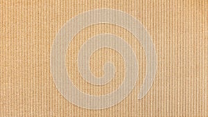 Paper cardboard background. Natural corrugated carton sheet. Kraft cardboard texture with vertical stripes