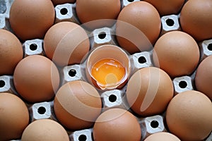 Paper carton containing several eggs with one egg cracked with yolk