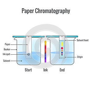 Paper chromatography analytical method for the separation of a mixture into its individual components photo