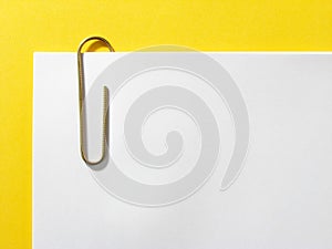 Paper clip photo