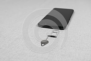 Paper clip and Sim card tray of smartphone