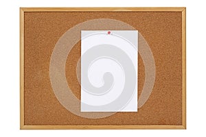 Paper On Cork Notice Board