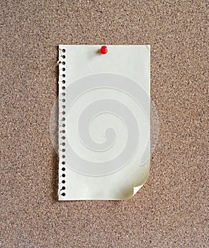 Paper on cork notice board