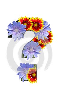 Paper cut-out question mark filled with blue and yellow-red summer flowers