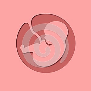 Paper cut style. Human embryo with the umbilical cord. Baby in the womb. Stylish logo for a prenatal or reproductive