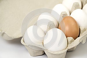 Paper Egg Tray with white eggs. chicken white eggs close up. farm chicken ecologic eggs