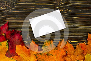 Paper with an empty space for text on a pile of bright autumn leaves against a dark wooden table