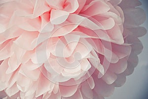 Paper flower. beautiful, delicate pompom. decoration for the interior.