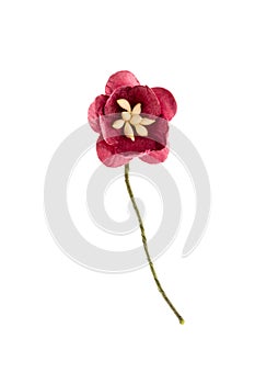 Paper flower for scrapbooking