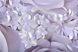 Paper flower wall