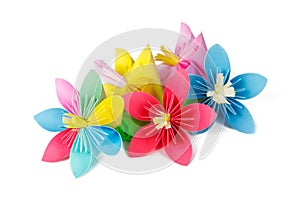 Paper flowers and flower with varicolored petals
