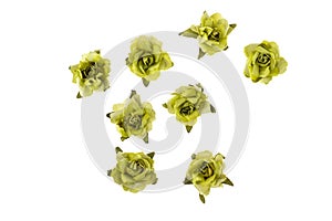Paper flowers for scrapbooking