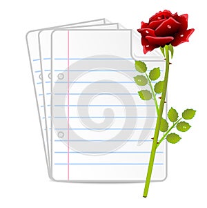 Paper folias and red rose