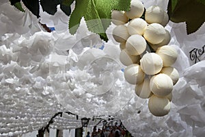 Paper grapes, Campo Maior, Portugal